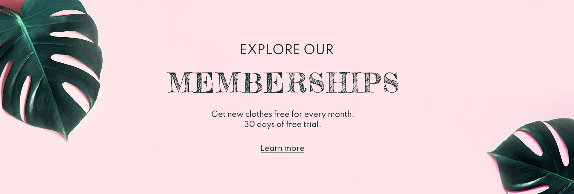 Explore Our